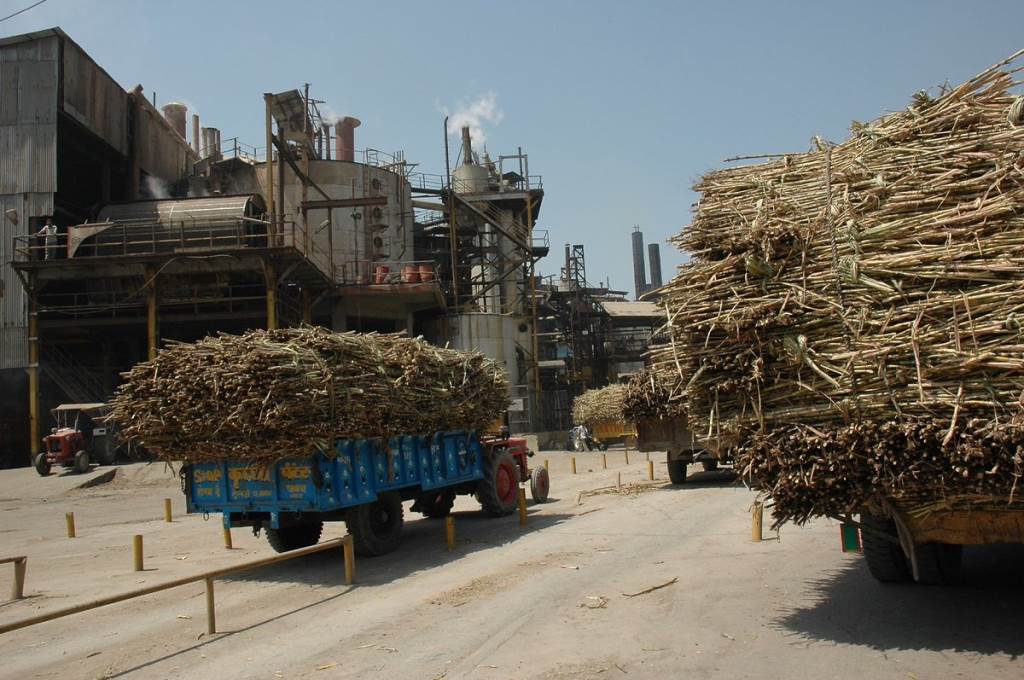 The 18th crushing season of the Assandh Sugar Mill will begin on December 8th